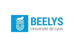 Animation de cours sur le SEO et l'UX Design Thinking chez BEELYS à Lyon
